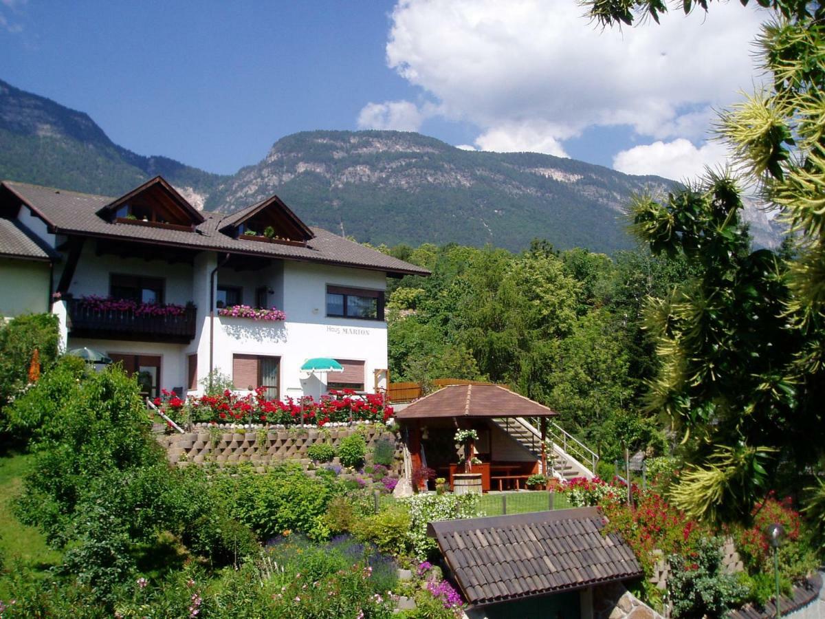 Апартаменты Haus Marion Аппиано-Сулла-Страда-дель-Вино Экстерьер фото